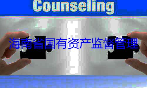 委副书记王资产监督管理委员会党海南省国有查调查有福接受审